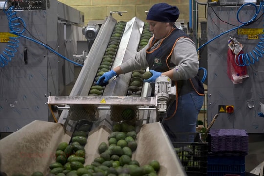 Thuế quan của ông Trump với Bắc Mỹ hé lộ "tia sáng" cho Đông Nam Á