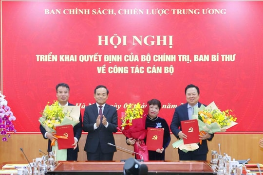 Điều động, bổ nhiệm 3 Phó trưởng Ban Chính sách, chiến lược Trung ương