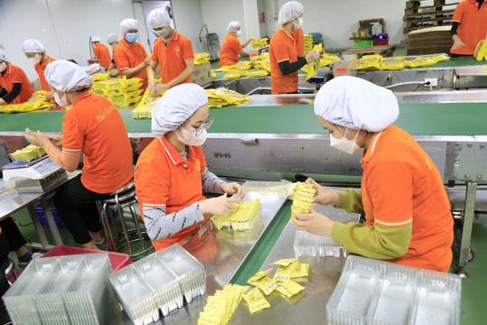 Sửa Nghị định 15/2018/NĐ-CP: Cần loại bỏ thủ tục hành chính không cần thiết