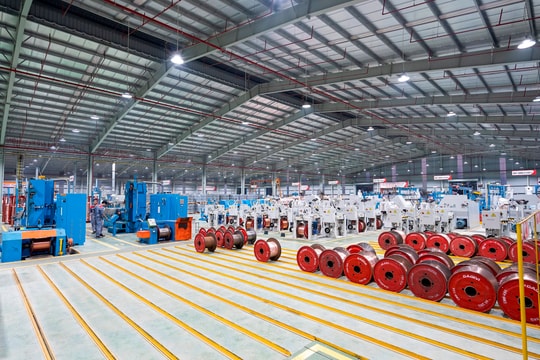 GELEX đặt mục tiêu doanh thu kỷ lục gần 38.000 tỷ đồng năm 2025, cổ tức 10%