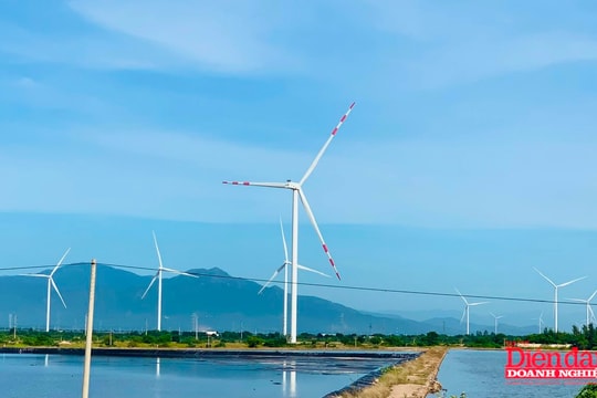 Nhà đầu tư dự án năng lượng tái tạo “cầu cứu” do đâu?