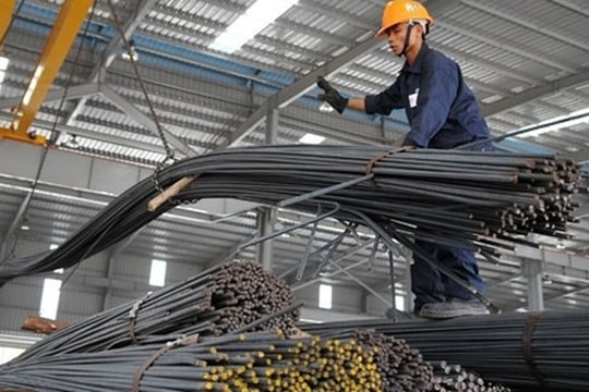 Lối thoát nào cho TLH?