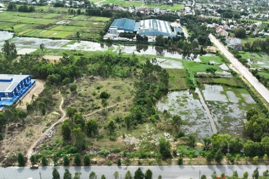 Nghệ An: Lợi ích kép từ việc “tái sinh” đất hoang