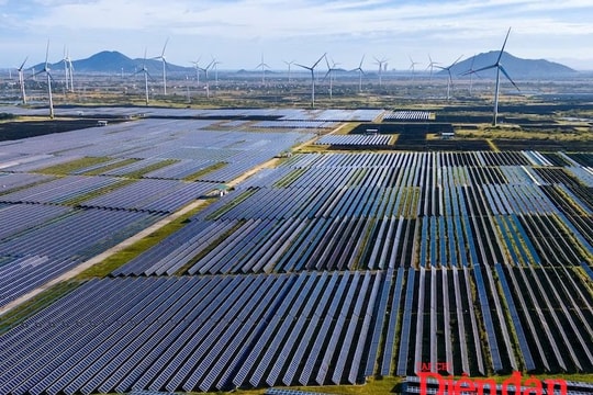 Điện gió ngoài khơi: Doanh nghiệp nội có “thua” trên sân nhà?