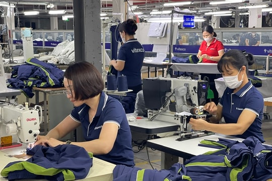 Doanh nghiệp dệt may chủ động thích ứng với biến động thị trường