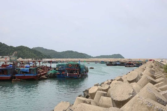 Quảng Ninh chung tay cùng cả nước sớm gỡ “thẻ vàng”