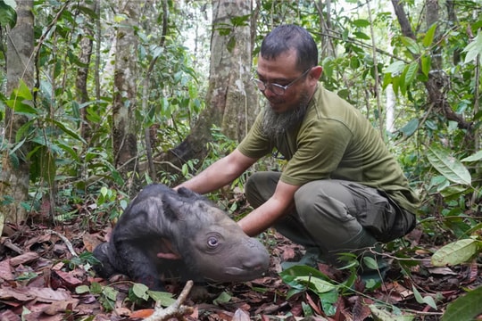 "Mở khoá" tiềm năng kinh tế trong lĩnh vực bảo tồn tại Đông Nam Á