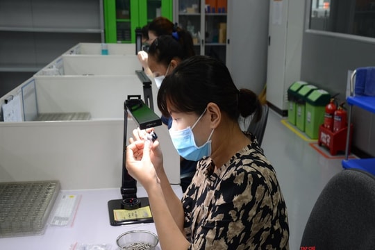 Đà Nẵng đẩy mạnh xúc tiến đầu tư