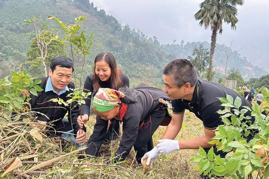 Xây dựng hệ giá trị bền vững cho du lịch Việt