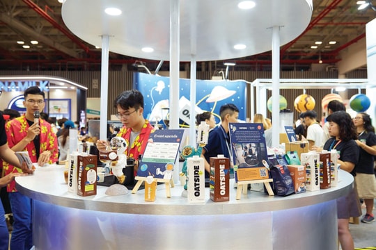 Chiến lược “sự lựa chọn của chuyên gia”