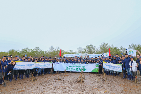 Trồng rừng ngập mặn tại tỉnh Thái Bình - dấu ấn vì một Việt Nam xanh