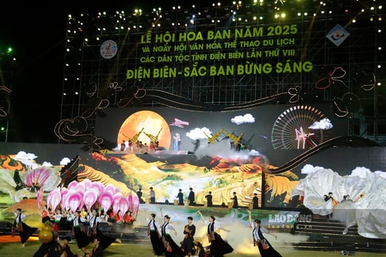 Lễ hội hoa ban 2025:"Điện Biên-Sắc ban bừng sáng"