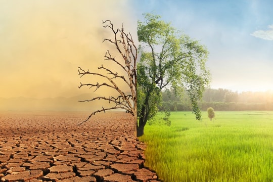 IRCAI và AWS tài trợ tới 4 triệu USD cho startup công nghệ chống biến đổi khí hậu