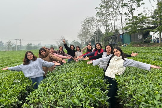 Doanh nghiệp chung tay thúc đẩy phát triển du lịch xanh