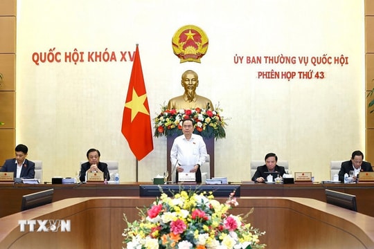 Sửa Luật Thuế tiêu thụ đặc biệt: Cần ý kiến doanh nghiệp để đảm bảo tính khả thi