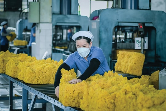 Khó đầu tư chế biến sâu cao su