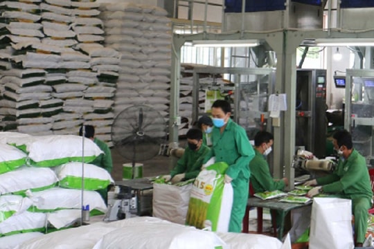 Doanh nghiệp tỉnh Thái Bình linh hoạt ứng phó trước các thách thức