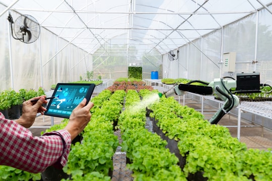 Lĩnh vực nào tạo lợi thế “mở đường” ứng dụng AI ở Việt Nam?