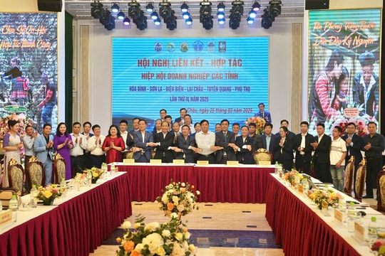 Hiệp hội Doanh nghiệp các tỉnh Tây Bắc tăng cường kết nối, hợp tác cùng phát triển