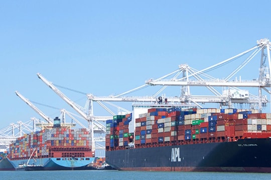 Chính sách mới của Mỹ "cản bước" vận tải biển toàn cầu