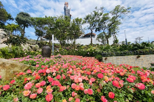 Tây Ninh: Khẳng định vị thế là điểm đến hấp dẫn