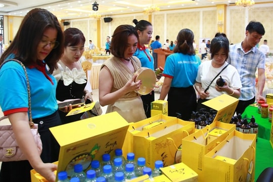 Quảng Ninh: Đồng hành cùng thanh niên khởi nghiệp