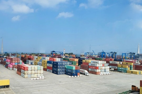 Giải pháp logistics tối ưu dành cho doanh nghiệp