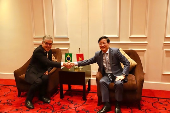 Kết nối doanh nghiệp Việt Nam - Brazil ngày càng bền chặt