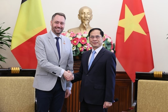 Việt Nam đề nghị Bỉ sớm phê chuẩn Hiệp định Bảo hộ đầu tư Việt Nam - EU