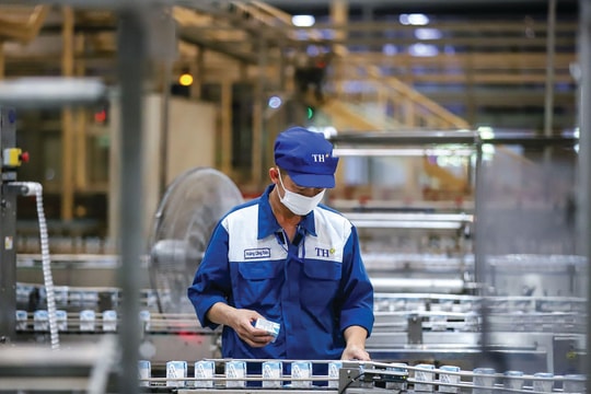 ESG - nền tảng sống còn của doanh nghiệp