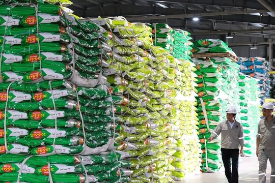 “Đón sóng” cổ phiếu phân bón