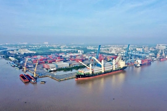 Kết nối ba nền kinh tế lớn từ tuyến dịch vụ vận tải container mới