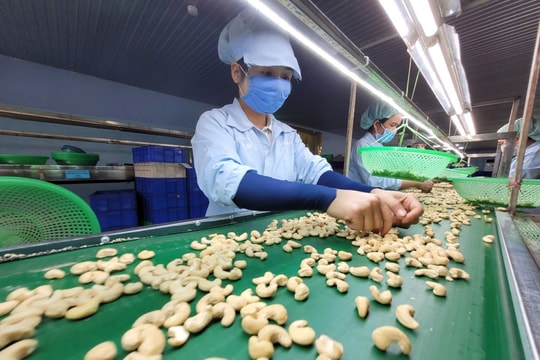 Tái cấu trúc xuất khẩu mở “đường dài” cho doanh nghiệp