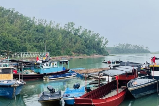 Chống khai thác IUU là nhiệm vụ trọng tâm