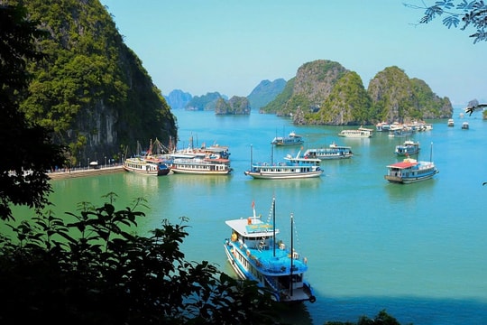 Tận dụng tối đa tài nguyên của di sản để phát triển du lịch