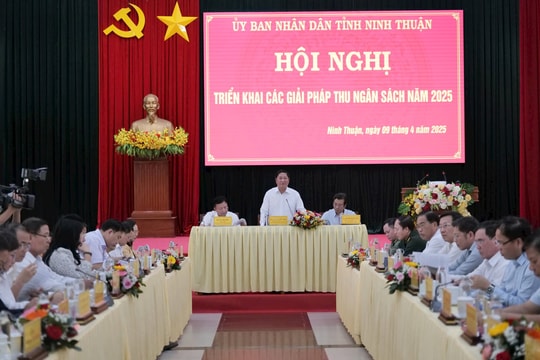 Ninh Thuận tìm giải pháp thu ngân sách năm 2025