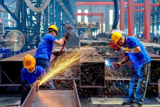 Thấy gì từ bức tranh kinh tế đa sắc của doanh nghiệp Việt?