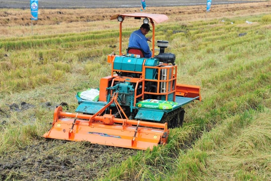 Trả dinh dưỡng lại cho đất lúa