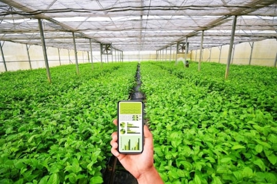 Thúc đẩy chuyển đổi xanh cho hợp tác xã