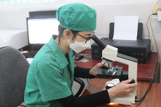 Doanh nghiệp nhỏ và vừa Nghệ An ứng dụng AI trong kinh doanh