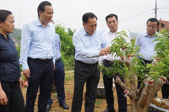 Lạng Sơn làm gì để tăng trưởng kinh tế đạt 8 - 9% năm 2025?