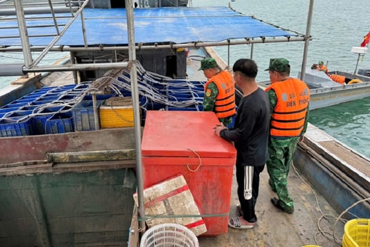 Gỡ khó trong cấp phép khai thác thuỷ sản cho tàu cá