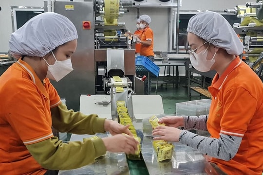 Đồng hành cùng doanh nghiệp Thái Bình trong sản xuất, kinh doanh