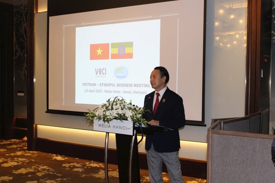 Gặp gỡ doanh nghiệp Việt Nam – Ethiopia