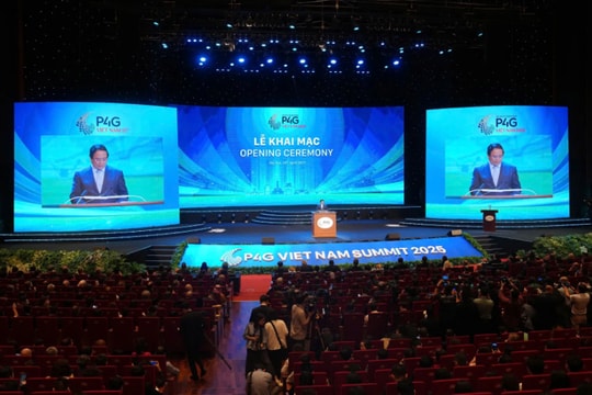 Chuyển đổi xanh để doanh nghiệp khởi nghiệp Việt phát triển bền vững