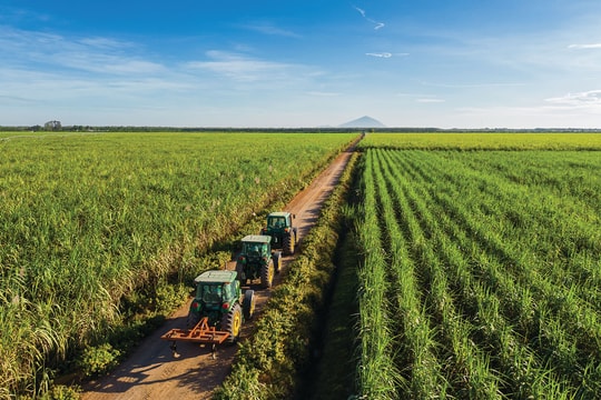 Giao dịch tín chỉ carbon tự nguyện: Cần cơ chế “hút” doanh nghiệp