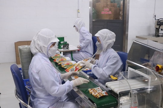 Tìm động lực cho doanh nghiệp xuất nhập khẩu Đà Nẵng