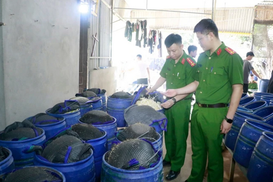 Thực phẩm độc hại “tấn công” người dùng - ai chịu trách nhiệm?
