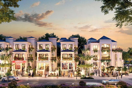 Đầu tư khôn ngoan: Phân tán rủi ro hay chọn “giỏ” an toàn?