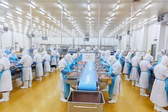 Các "ông lớn" ngành chăn nuôi lạc quan tăng trưởng